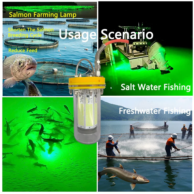 IP68 Rated 1000W 220v LED Squid Luring Lamp Green White Blue Fishing Lights for Salmon Farming & Carp Fishing Waterproof