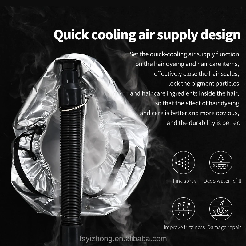 Top Manufacturer Professional Cap Bonnet Ionic Micro Mist Micromist Hair Salon Steamer Machine with Care Hari SPA Care Treatment