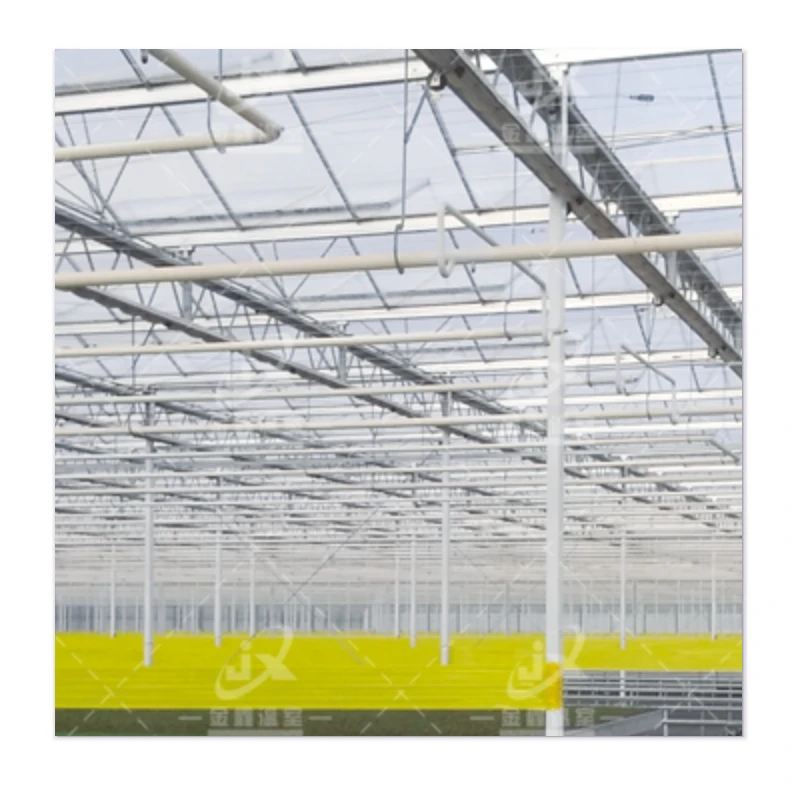The Phoenix Greenhouses - Rise with Affordability, Durability and Wind Resistance