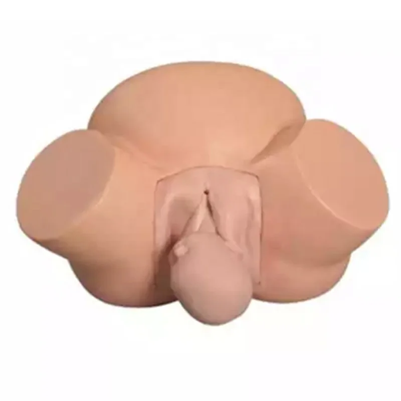 Медицинская модель Midwifery для обучения необычный симулятор родов Женская Тазовая