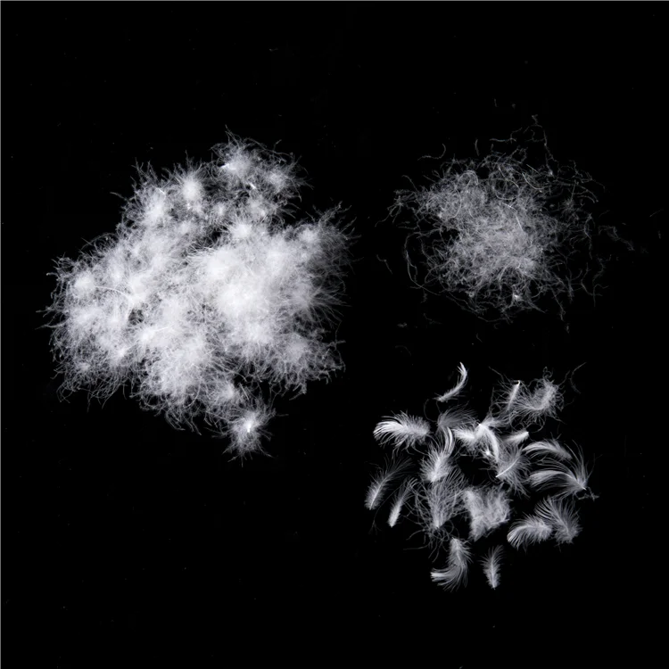 
95% Big Washed Muscovy Ordinary White Duck Feather Down Japanese Standard 