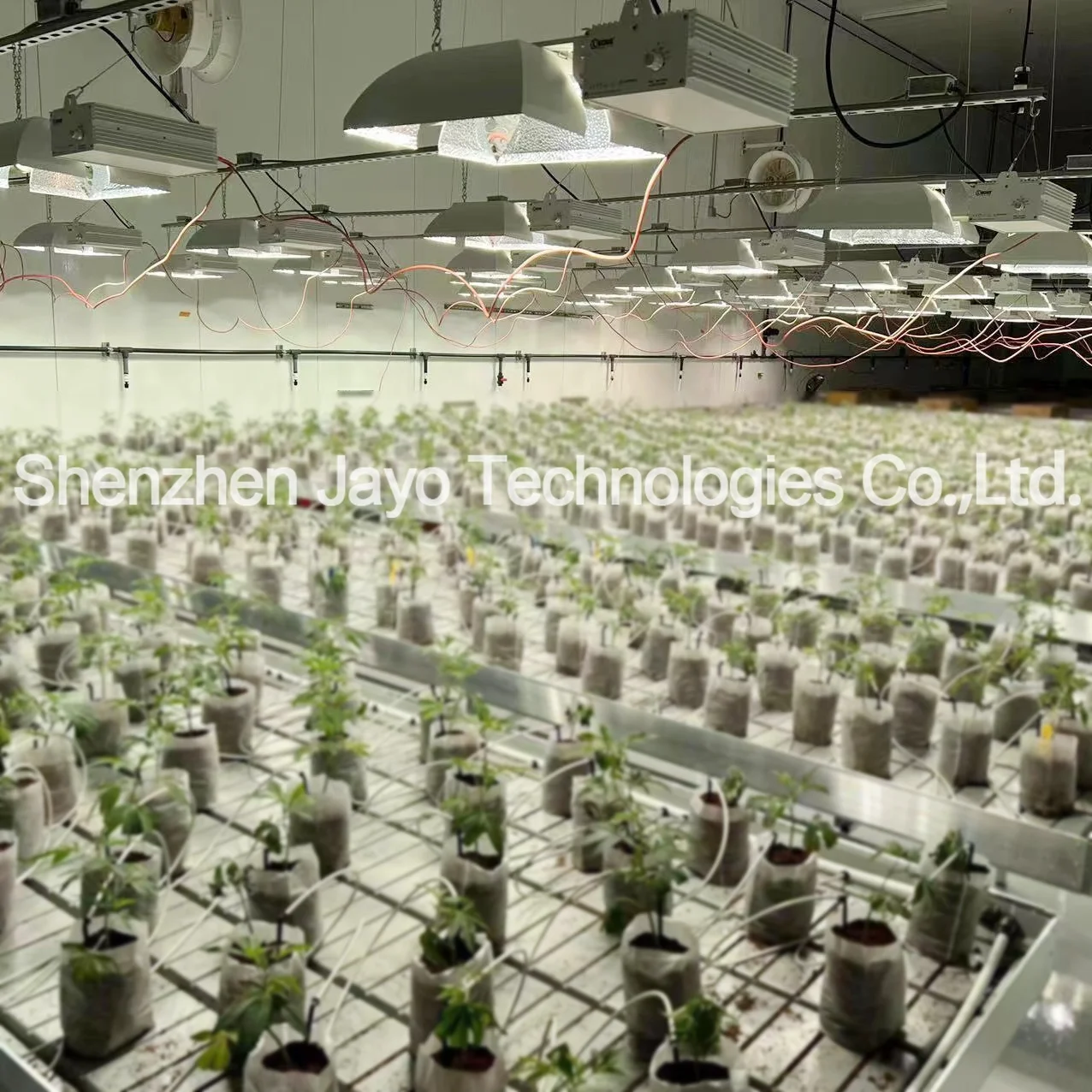 Available Lucius 1000W 240V 277V High PPFD Double Ended Fixture DE HPS Grow Light