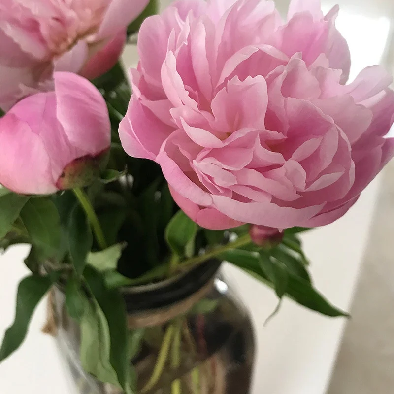 
Hot Selling Artificial Multiple Styles Blue Fresh cut Roses flowers For Wedding Party Club Ornament 