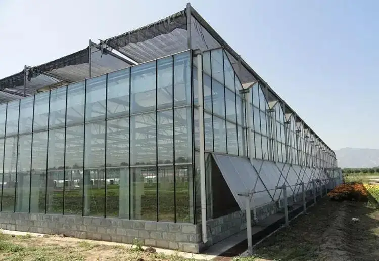 Newest Multi-span Glass Greenhouse Hydroponic Greenhouse Venlo Roof Glass Covered greenhouse