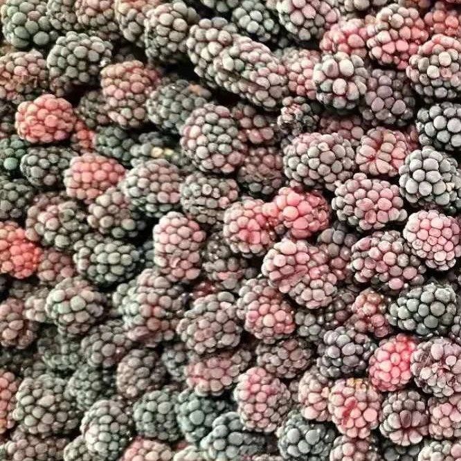 Китайский замороженный фрукт IQF Blackberry
