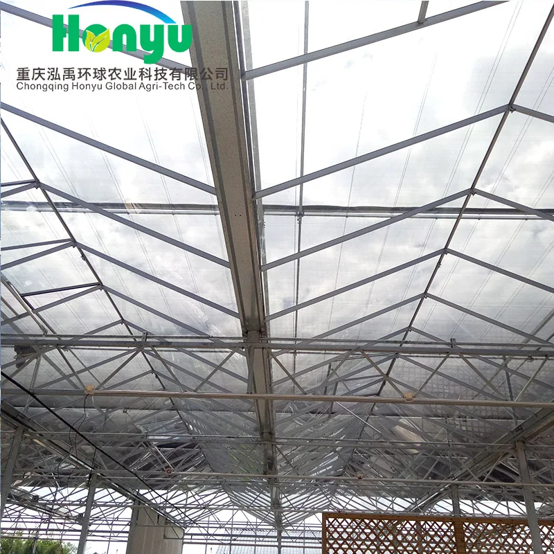 Multi-span Invernadero  Green House For Agricultural Greenhouse with aquaponic system