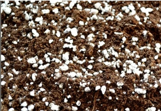 Расширенный Перлит для всех натуральных растений, садовая добавка для почвы, кондиционер для улучшения дренажа и вентиляции