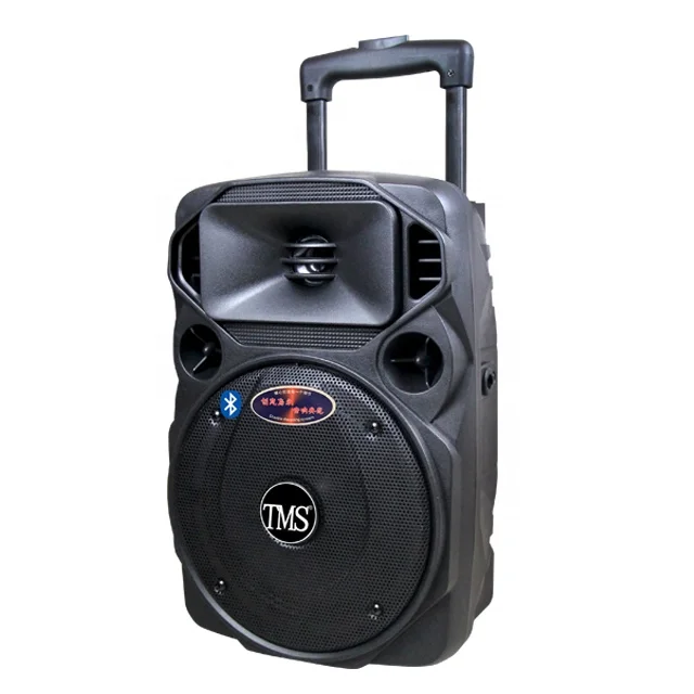 2024 hot sale 8 Inch good sound playing party speaker Portable Amplifier usb wireless Trolley Speaker Box With Microphone