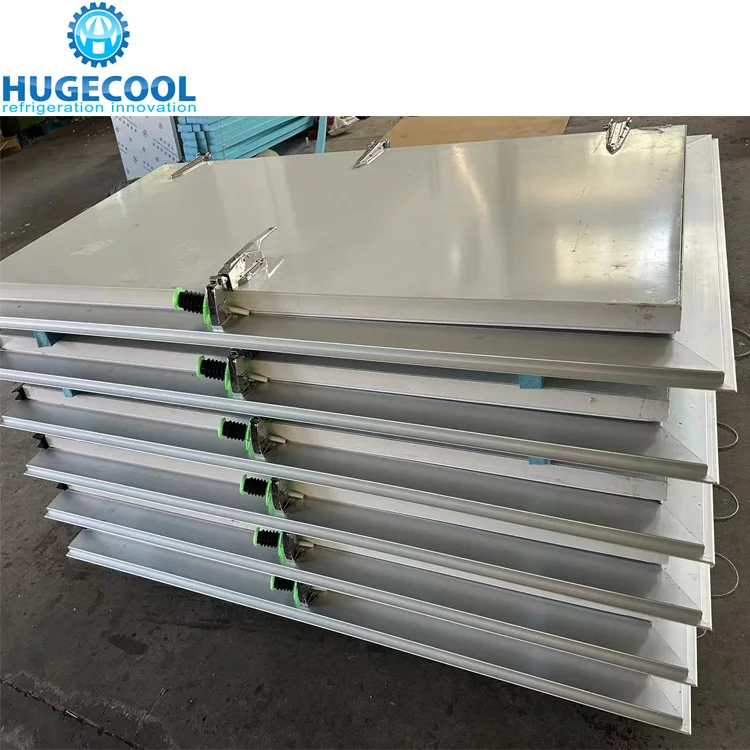 Cold Room Replaced Door Cold Storage Door Hinged Door for Freezer Container in USA
