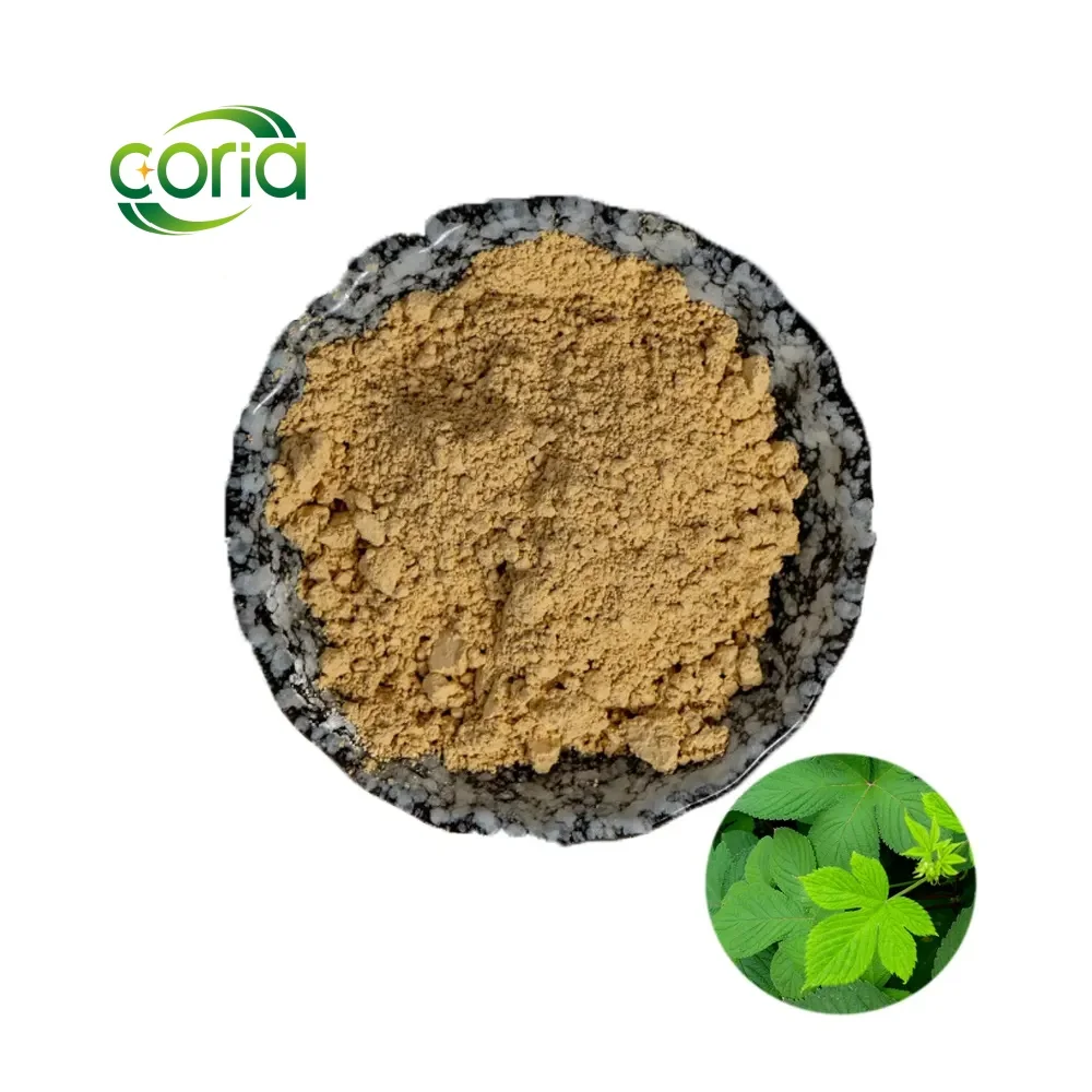 Здоровая добавка гипенозид 80% Jiaogulan Gynostemma Pentaphyllum экстракт/порошок Gypenoenoylum P.E