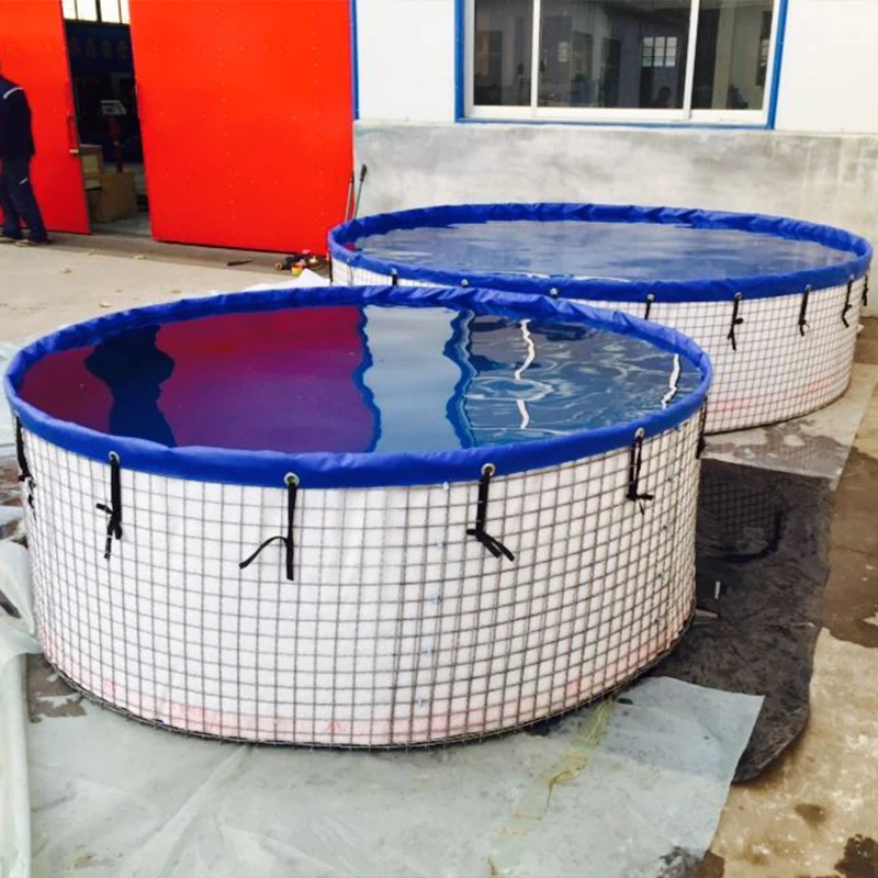 Customized Size Frame aquaponic system lobster pond fish farming equipment with cheap price
