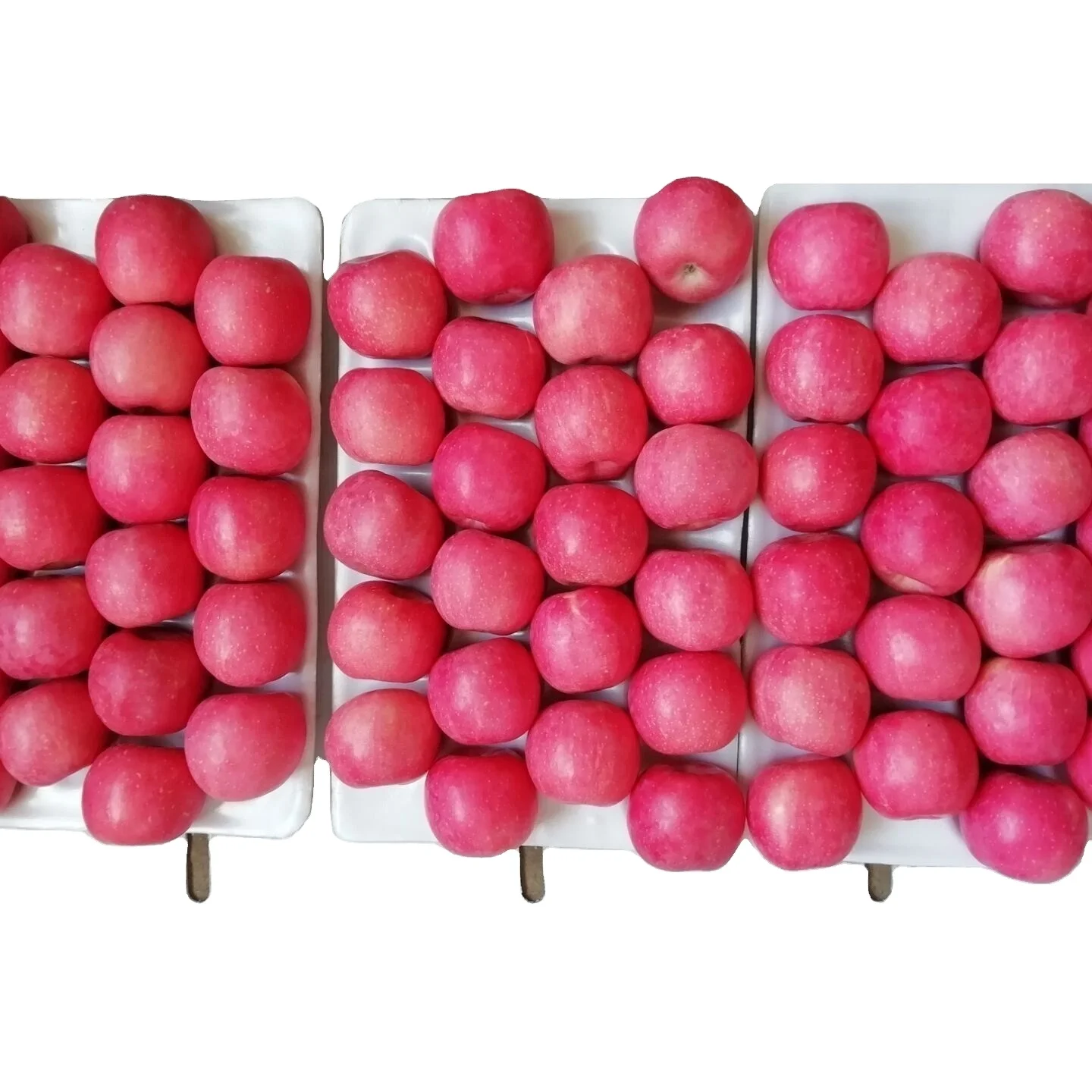 Fuji apples wholesale fruit prices