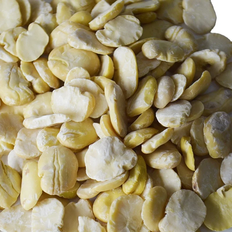 High quality  split broad bean peeled fava bean for sale
