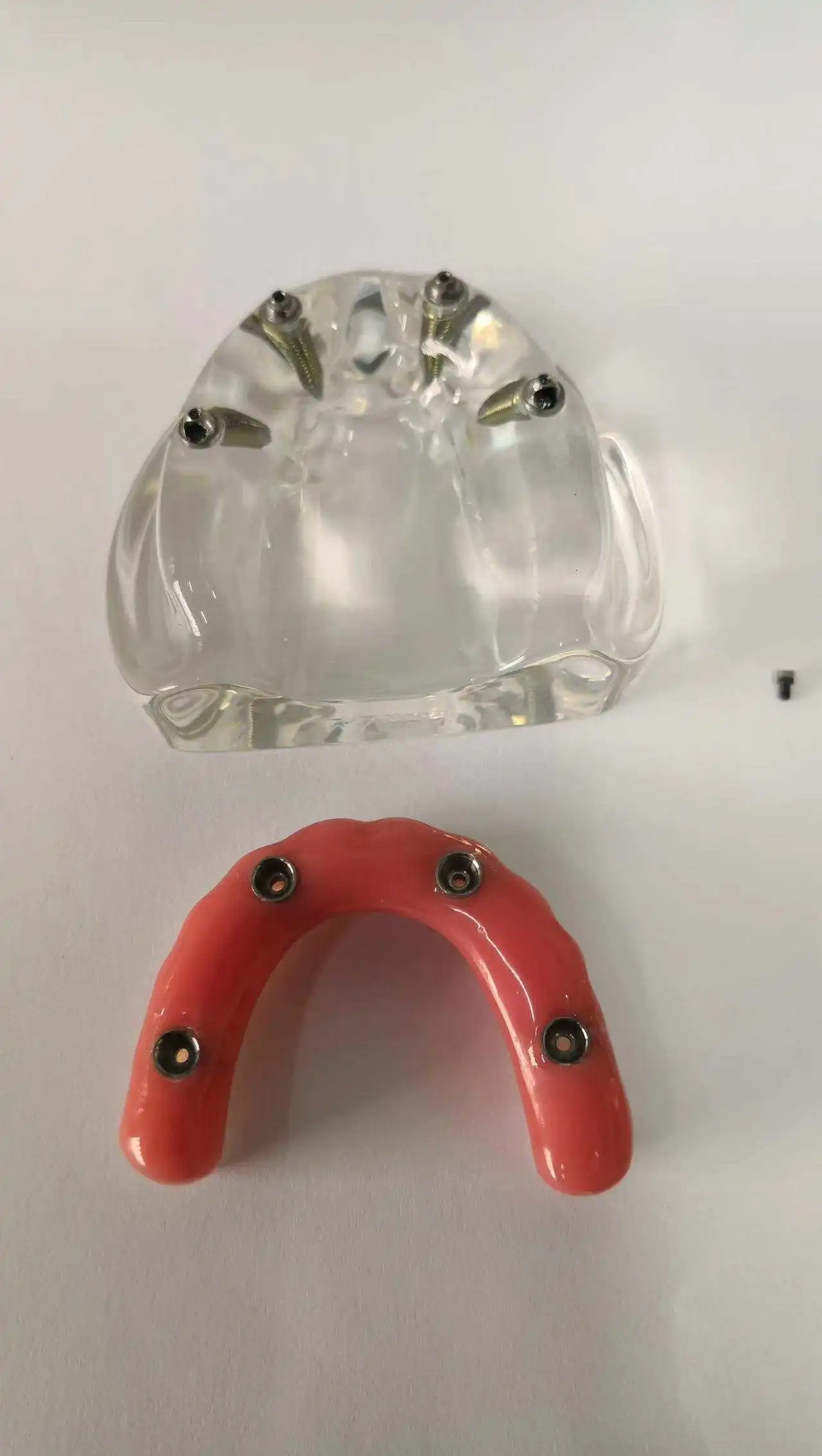 All on 4 speedy model  ALL-ON -4 implant model