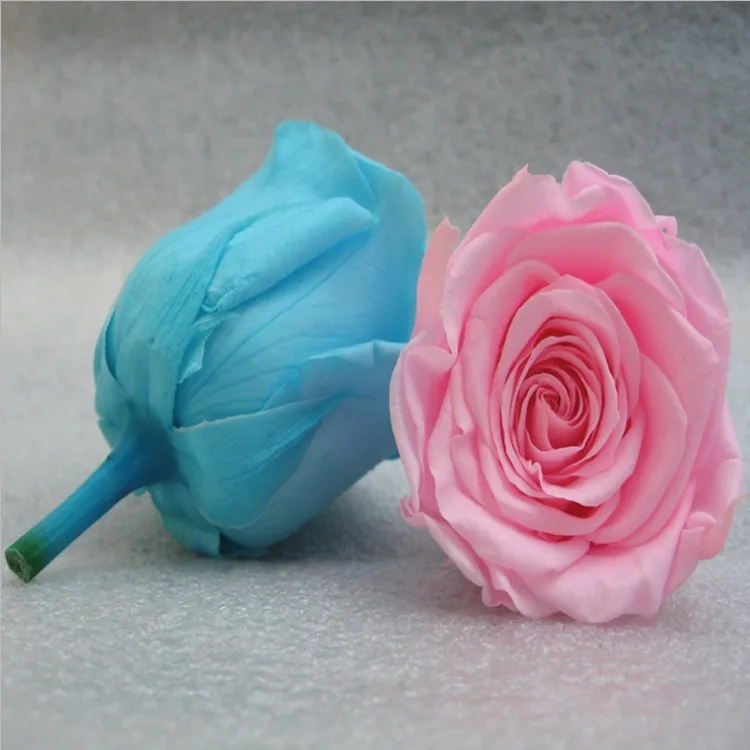 Factory supply A grade stabilized eternity rose flower head white color 4-5cm preserved roses head from KunMing