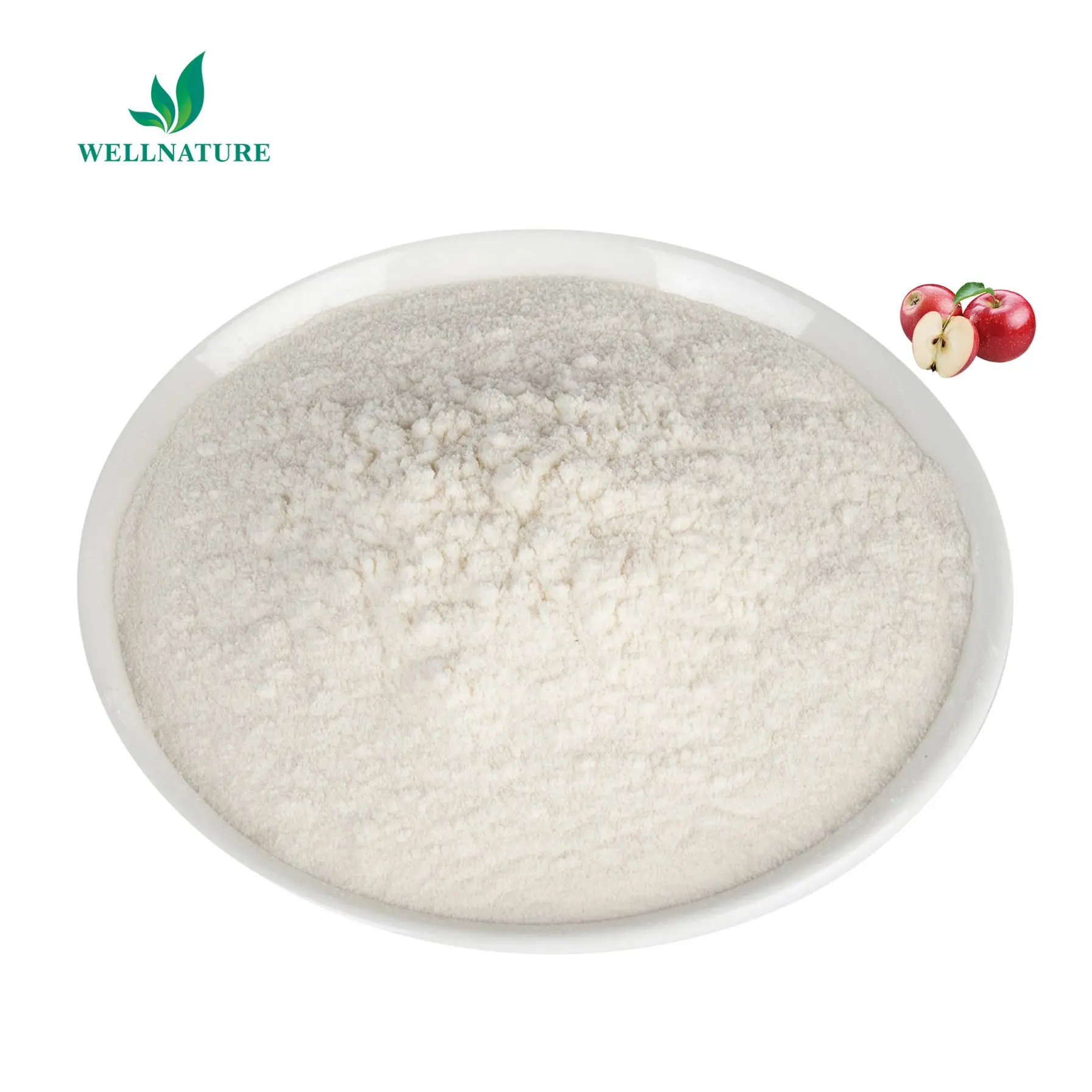 Factory Direct Supply Wholesale Natural Organic Food Grade High Quality Bulk Apple Fruit Extract 5% 10% Cider Vinegar Powder