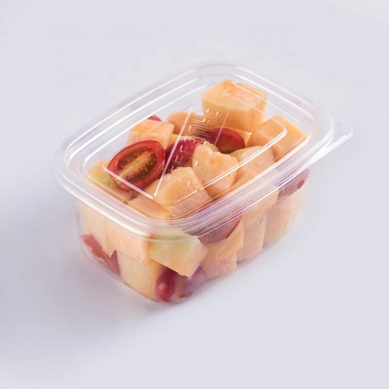 Foam Food Container / Automatic  Vacuum Forming Molding  Machine /Thermoforming machine