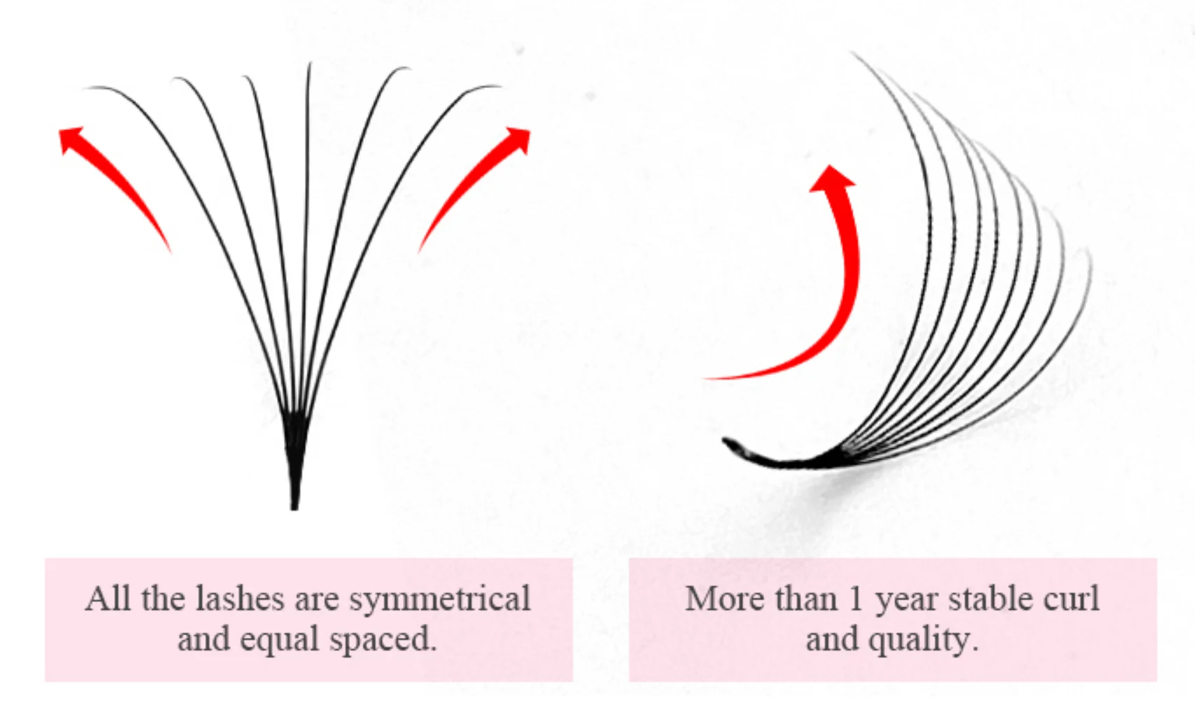 XXL trays 320 fans Premade Fans Volume eyelash extension 14D Premade  Volume Fans 0.03Volume Eyelashes Extension many dimension