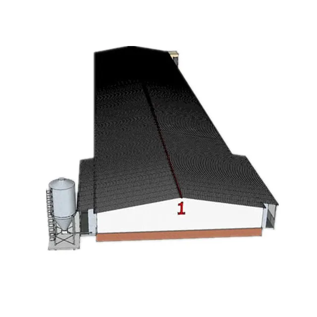 Современный дизайн стальная конструкция сборный дом цыплята