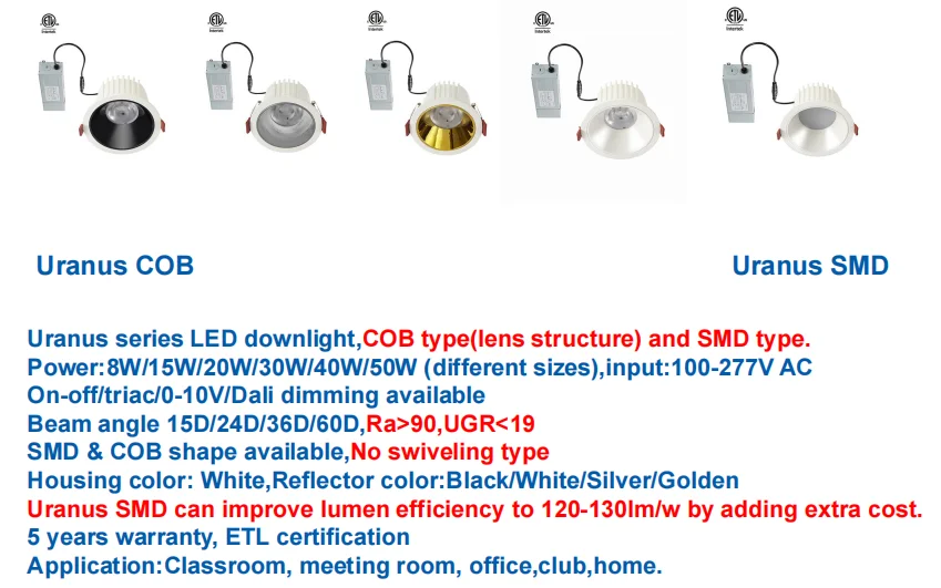 paste-pic-dp_uuid_ptdso