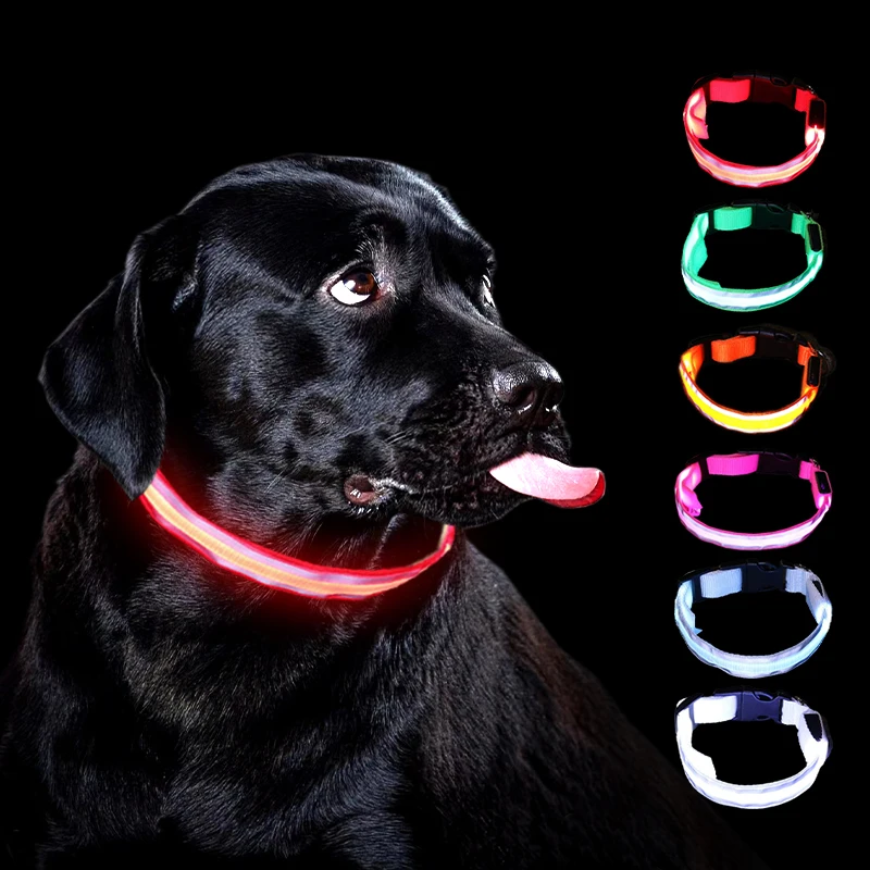 Pet supplies products accessories light up dog collar led para perros personalized nylon custom pvc led cat pet dog collar