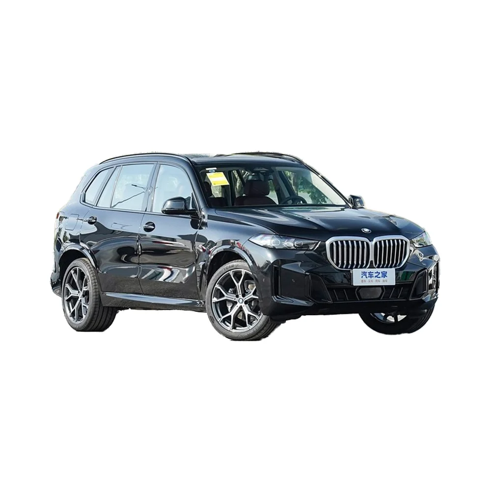 BMW X5 Used Car Petrol Vehicle in Good Condition  5-Seats Big SUV 2.0T Adult
