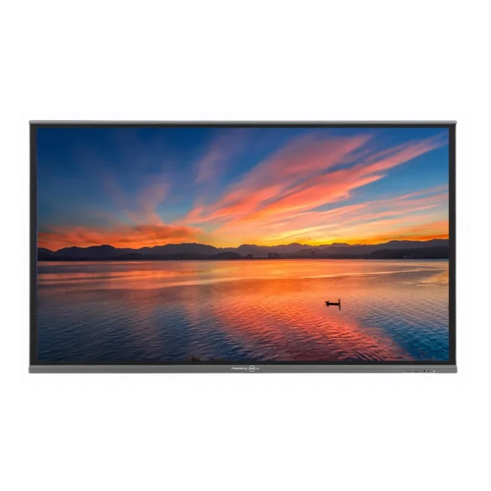 55 Inch Indoor 4K LCD Digital Signage Display Advertising Screen Monitor