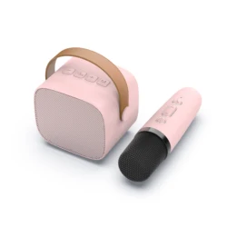Fifine E1 Christmas Gifts Wireless Handheld Microphone With Speaker kid Microphone Wireless Karaoke Microphones