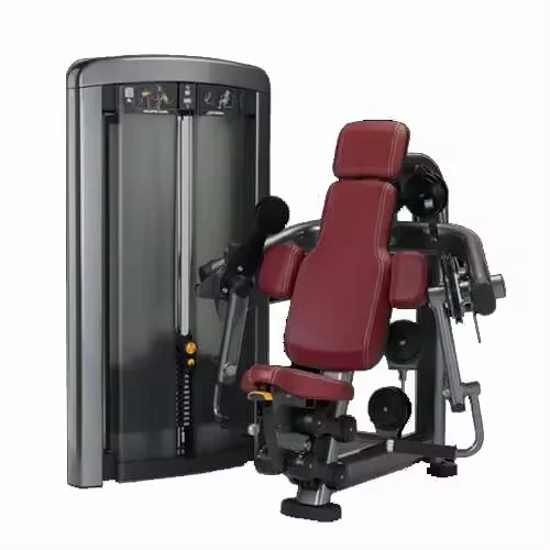 New Factory direct sales  Custom logo muscle building fitness equipment Seated Biceps Curl machine for gym club