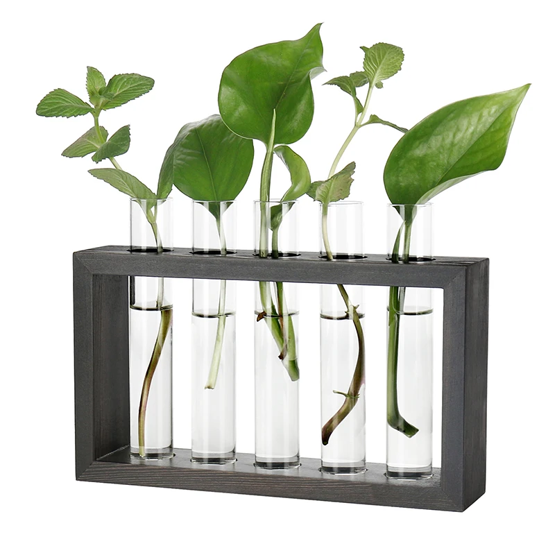Wall Mounted Hanging Planter Test Tube Flower Bud Vase Tabletop Glass Terrariumin Wooden Stand with 5 Test Tube