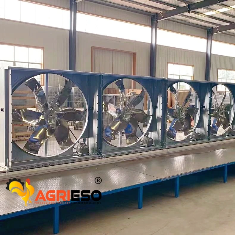 Agrieso High Quality Centrifugal Exhaust Box Fans For Ventilation System Chicken Farm Cooling Fan Poultry Equipment