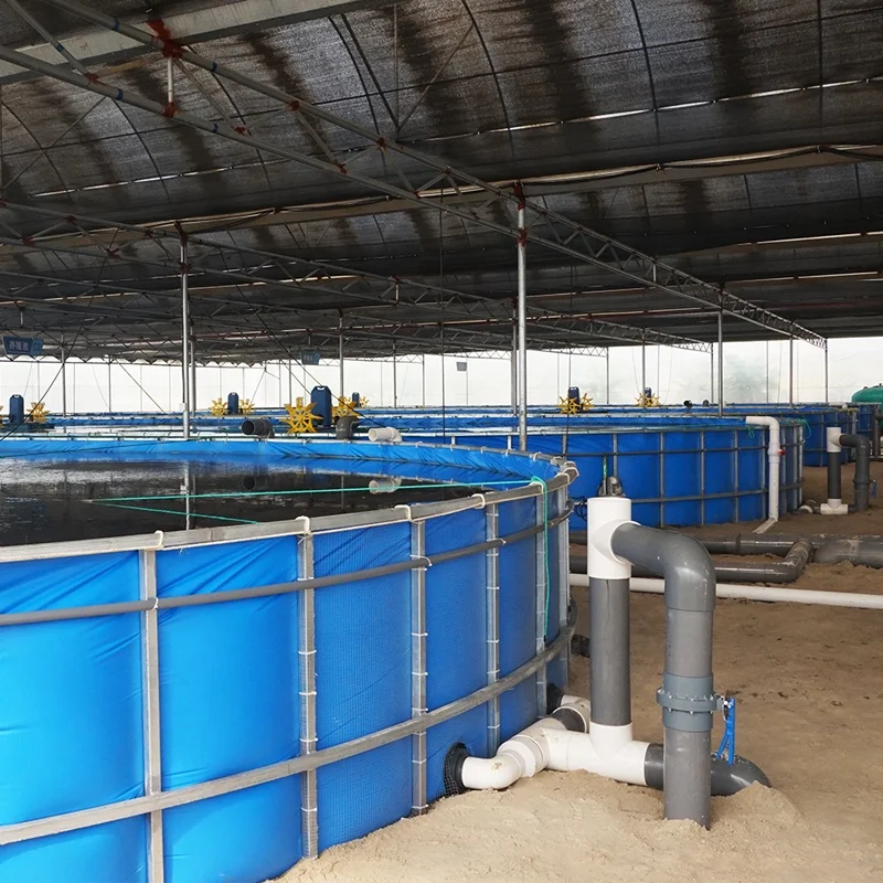eWater RAS Indoor Fish Farm Recirculating Aquaculture System Vannamei Project and Indoor Aquaculture Equipment  In India