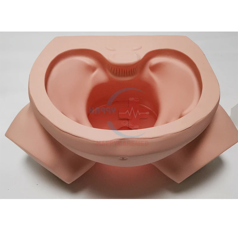 HC-S308 современная модель Dystocia для обучения, модель dystocia для обучения женской доставки