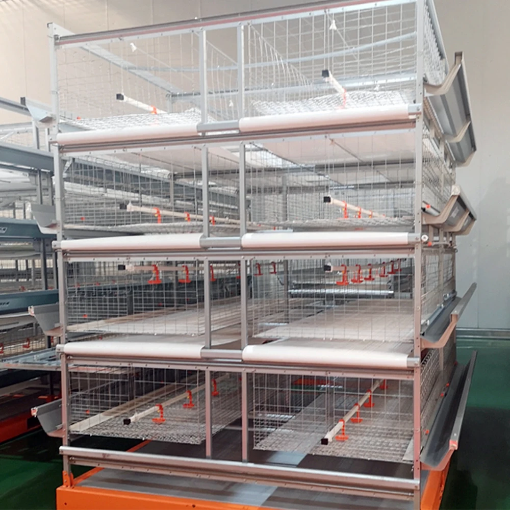 Modern Poultry Farm Equipment H Type Baby Chicks Feed House Automatic Battery Broiler Chicken Cage System For 50000 Birds