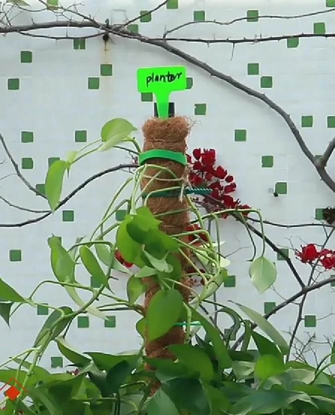 Extendable Plant Flower Stand Trade Assurance Moss Pole Coco poles