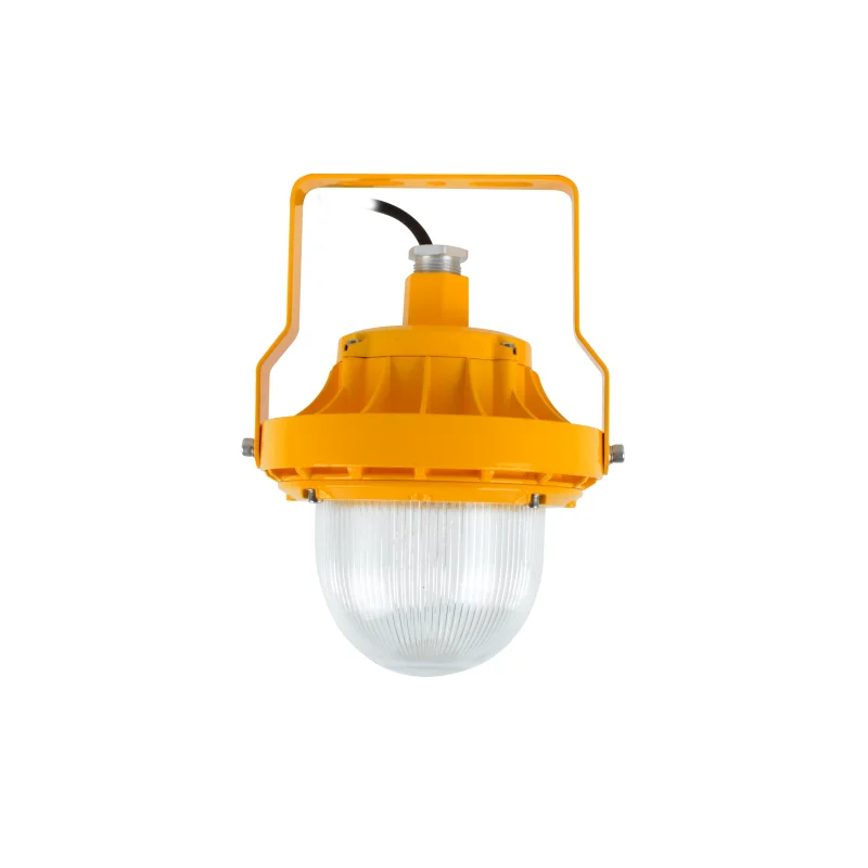 ATEX approved 220v 100w ex light fitting ceiling explosion proof LED lamps