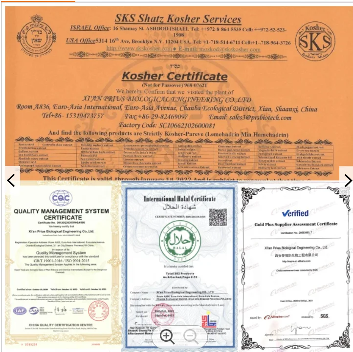 Natural high quality loquat leaf extract 98% ursolic acid 10%-98% Ursolic Acid Powder