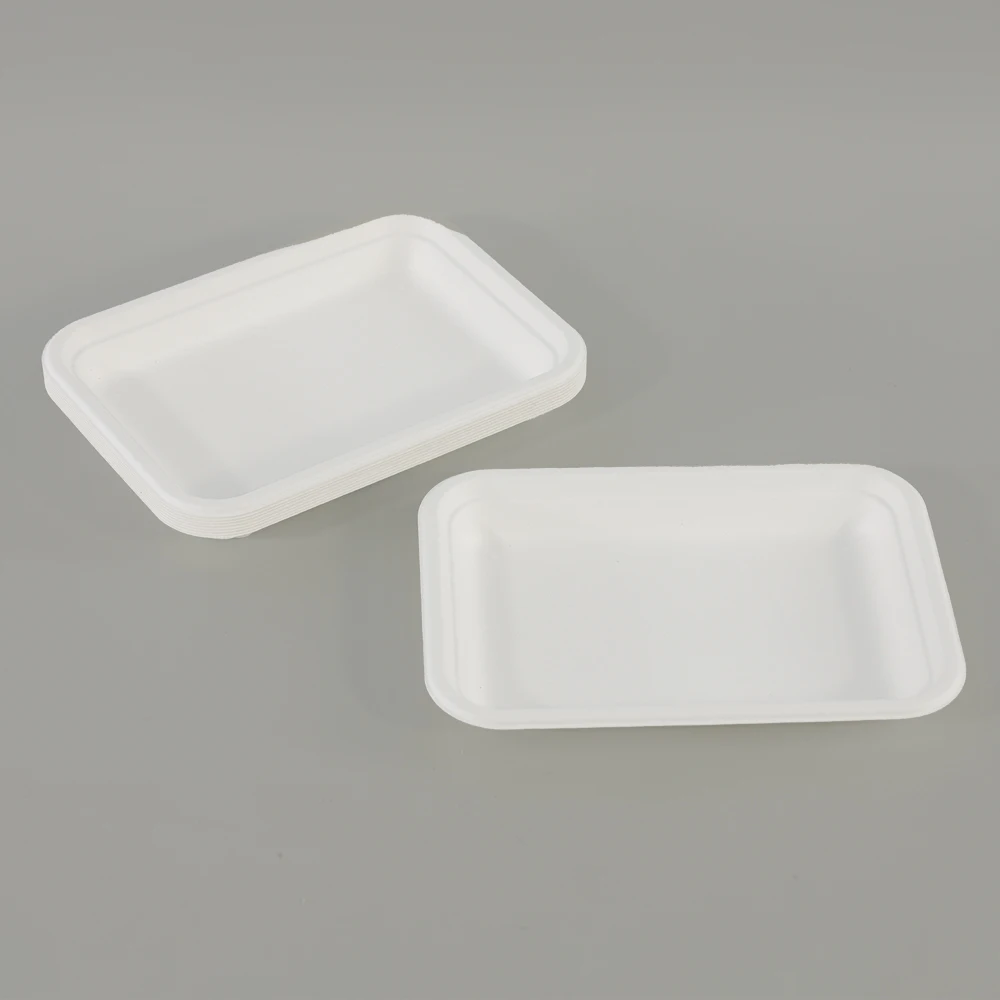 Biodegradable Rectangle Compostable Disposable Bagasse Pulp Sugarcane Plate Food Tray
