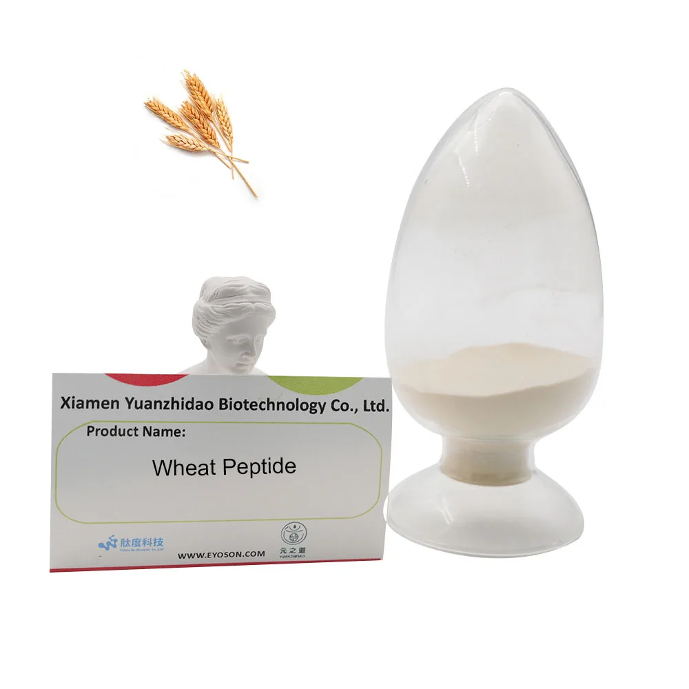 
Factory supply Wheat Peptide Natural Food Additives Premium quality bulk vegan protein blood health 