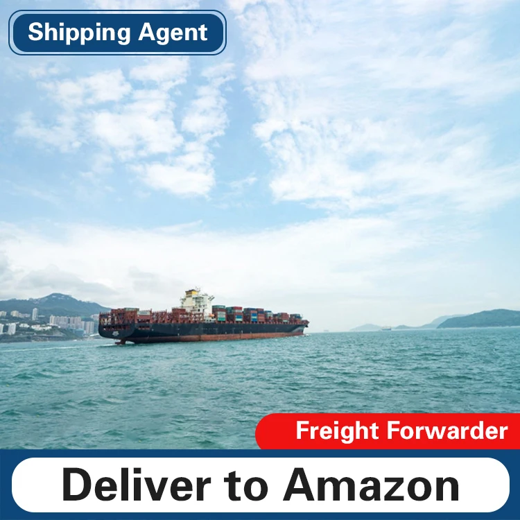 Турция, судовой агент по линии морской доставки, контейнер от двери до двери, Франция