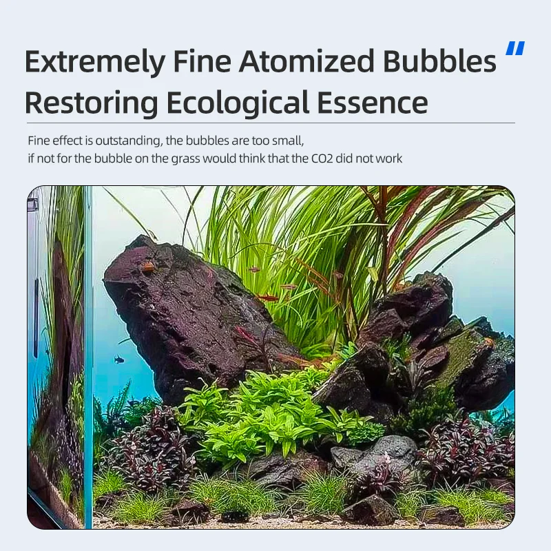 WYIN ZRDR Fish Tank External Reactor Carbon Dioxide Diffuser CO2 Aquarium Bubble