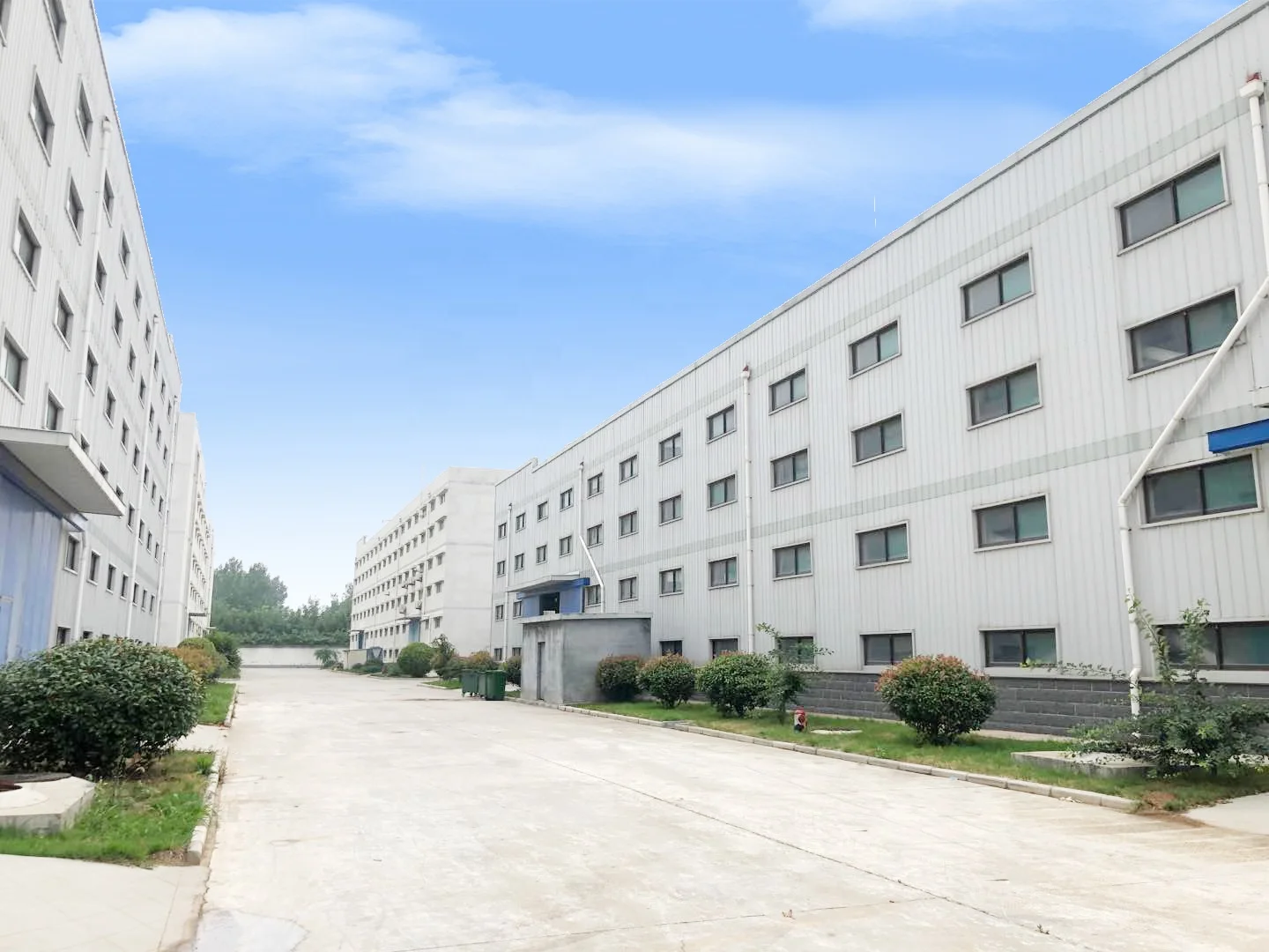 
Soocom Pigeon Antibiotic Florfenicol Veterinary Respiratory Injection 30% 