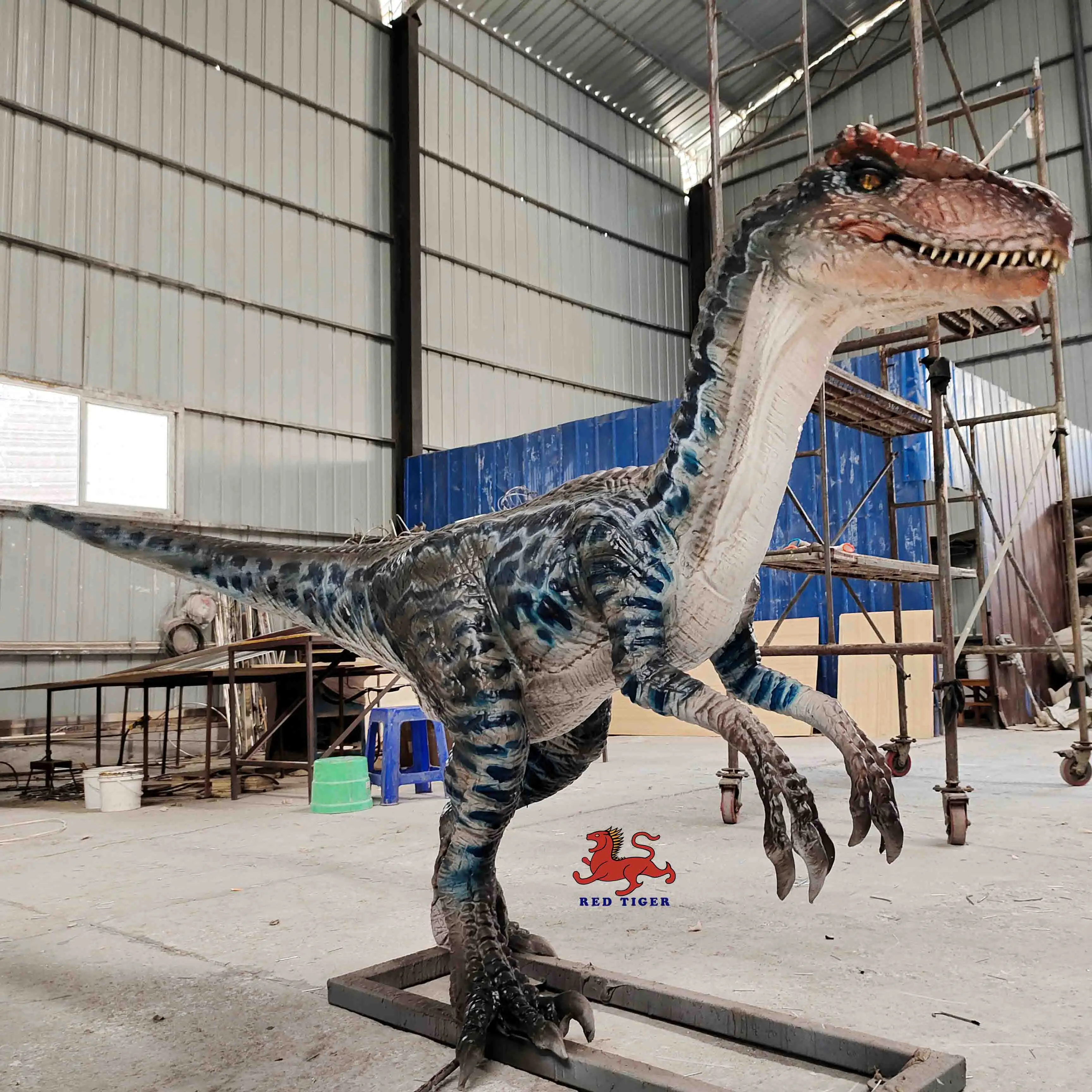 Animatronic realistic lifesize raptor model
