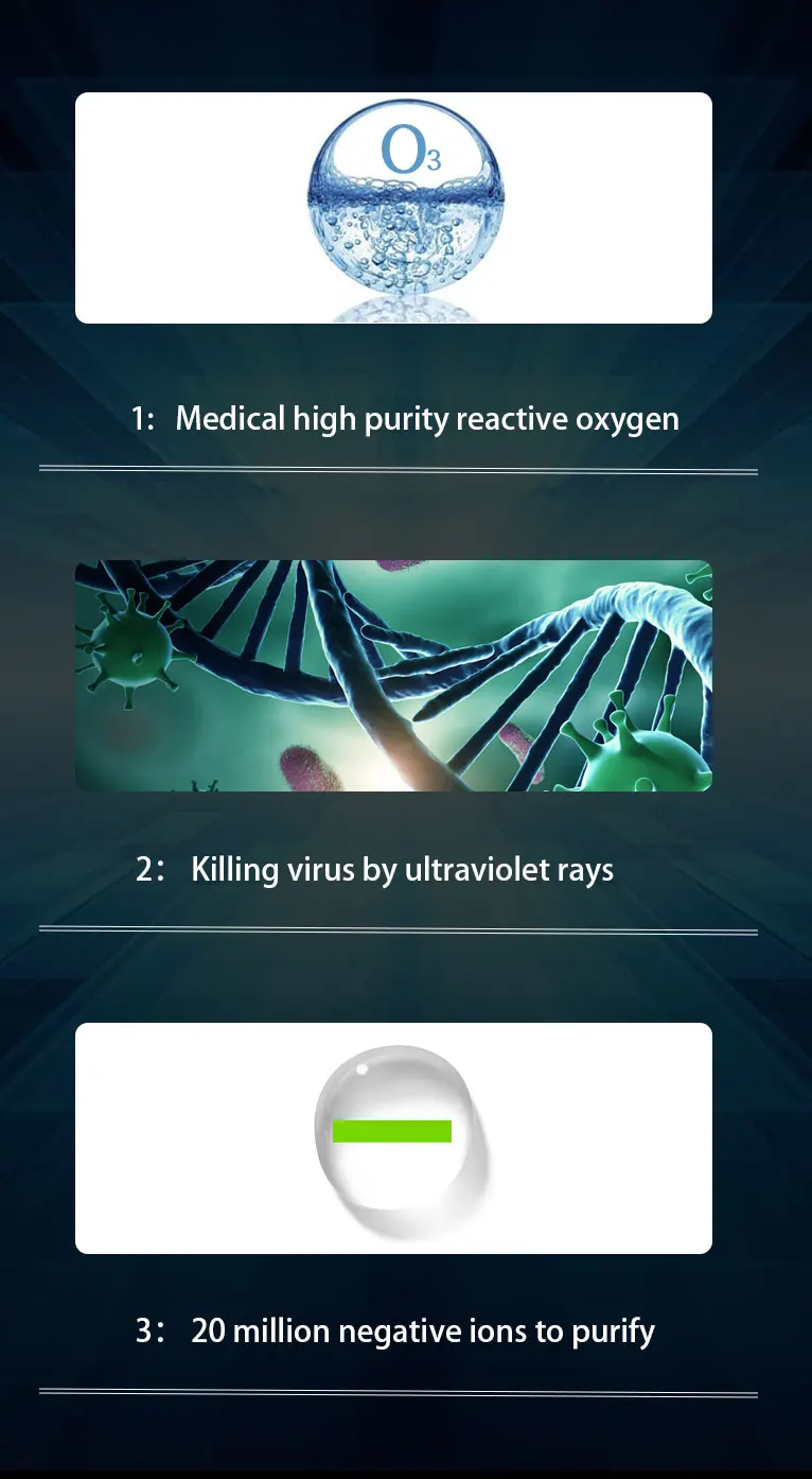 CP033 details page (2).jpg