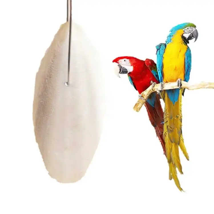 Поставщик корма для домашних животных с косточками из кальция/мисс Мэй (+ 84 904 183 651)