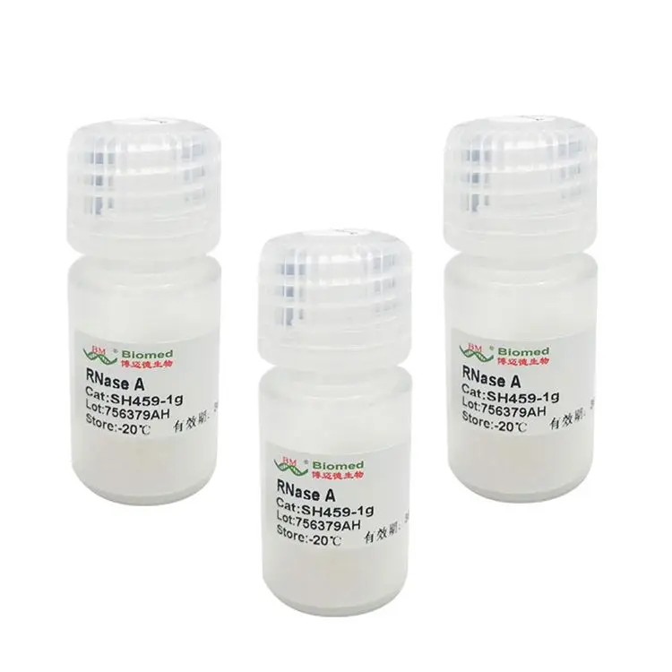 Высококачественная профессиональная RNase A лиофилизированная Powde rnase A