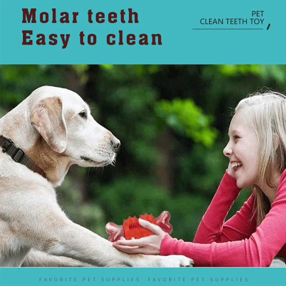Pet chewing toy  cleaning teeth pet dog bones bite resistant rubber nylon bones pet toys