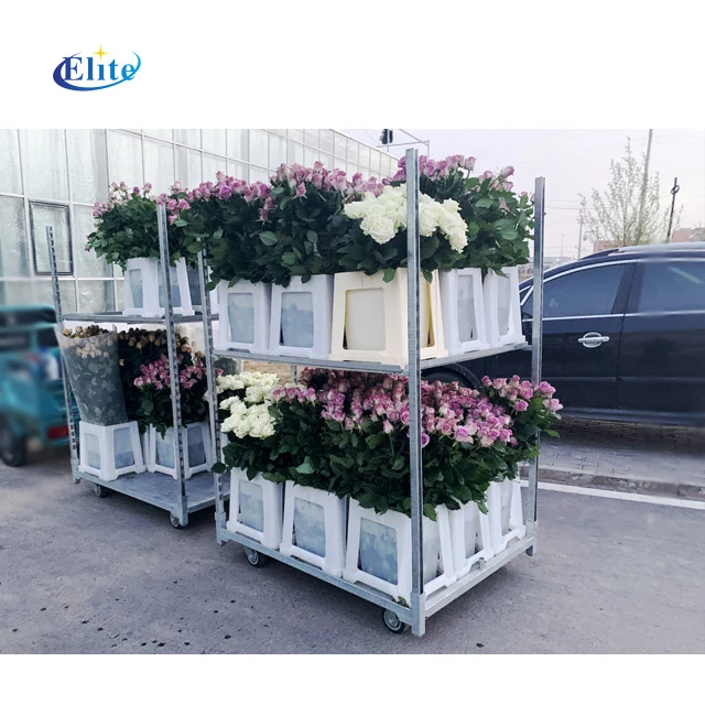 Large size plastic square danish buckets for garden center flor bucket