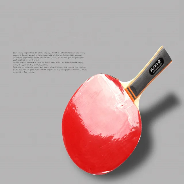 Pingpong table tennis racket  for training