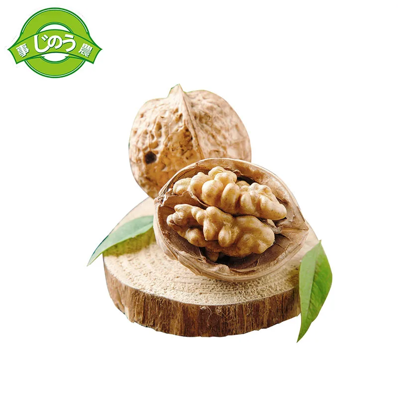 Shinong Origin Yunnan china Bulk Samples available raw in shell melifen walnut